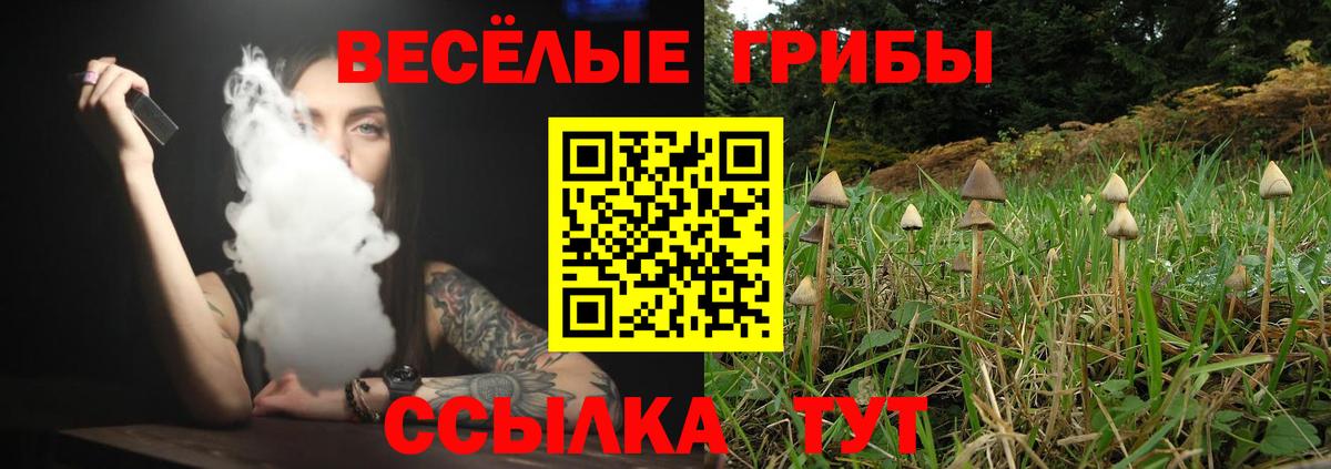 Самара  Галлюциногенные грибы ЛСД  Вход с VPN 