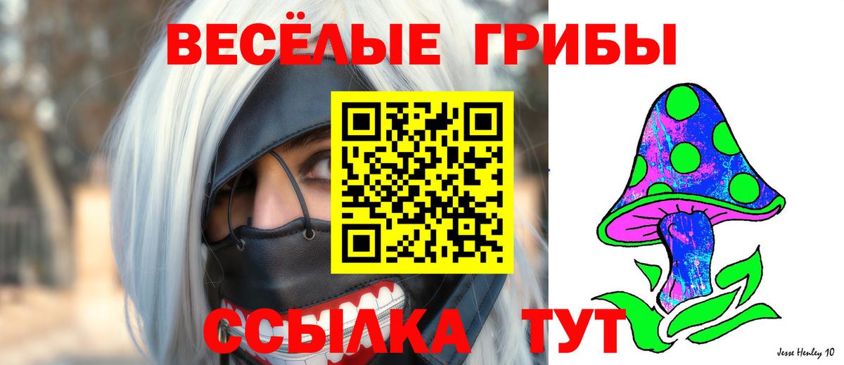 Галлюциногенные грибы мицелий Самара
